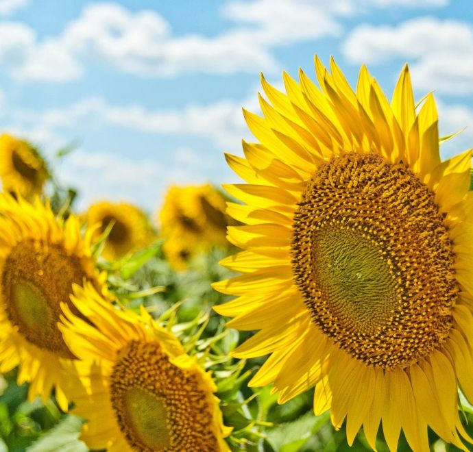 Öffnungszeiten Sekretariat während der Sommerferien